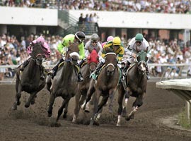 Canterbury Park Horse Racing